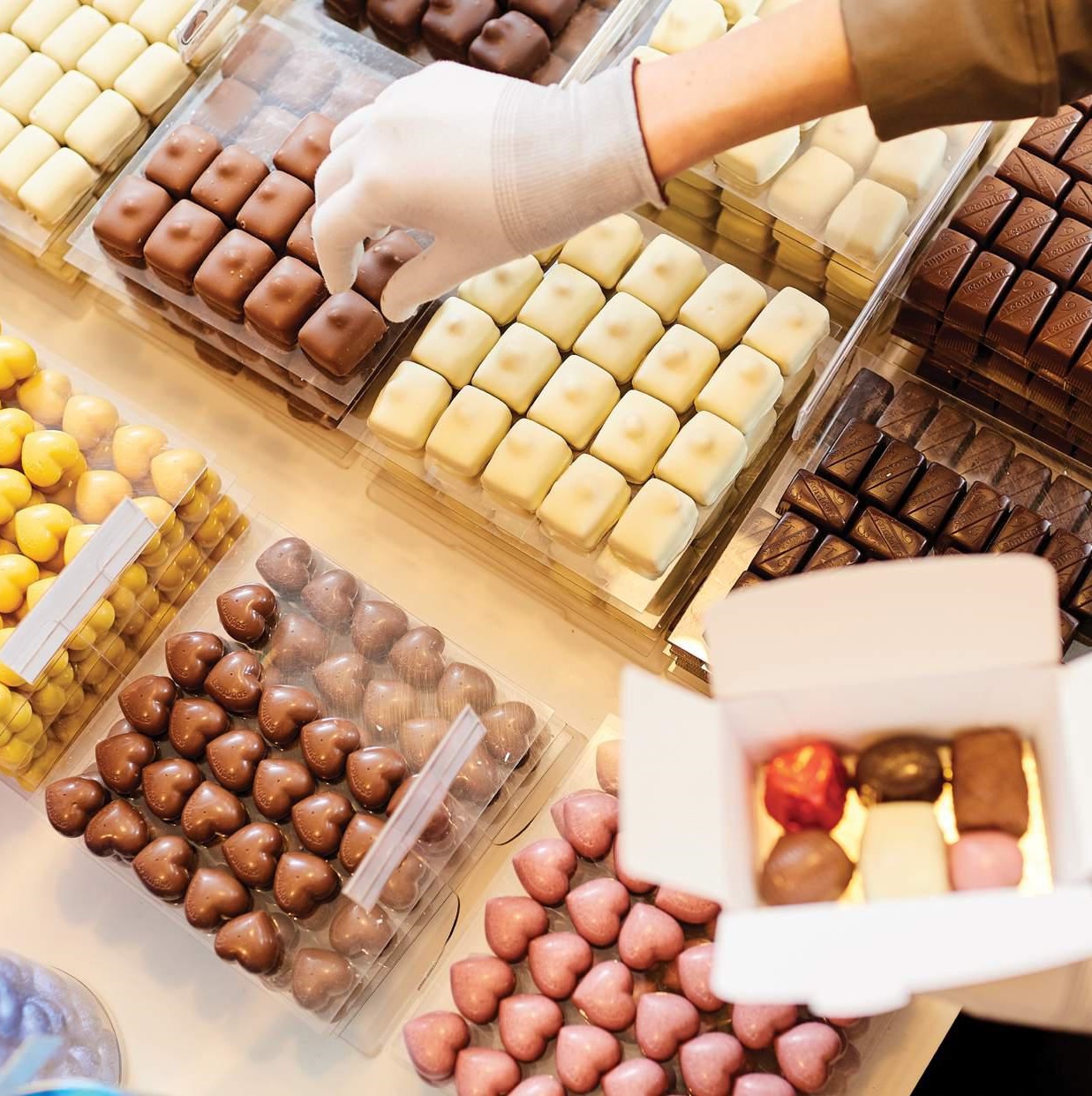 Assortiment chocolats belges 'Selection' 500 G - Délicieux chocolat belge